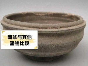 古弥新人头形陶盆强度测评：揭示历史之谜的关键