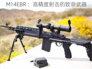 M14EBR ：高精度射击的致命武器