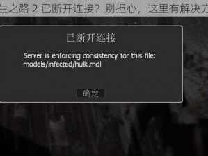 求生之路 2 已断开连接？别担心，这里有解决方案