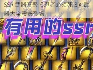 SSR 武器齐聚《忍者必须死 3》武器大全震撼登场