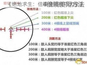 《绝地求生：倍镜使用技巧大全》