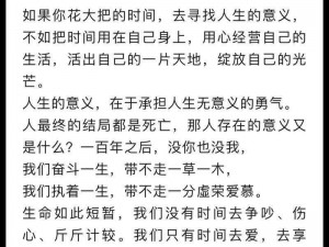 如果一生只有三十岁，我将这样度过第一章：探寻生命的意义