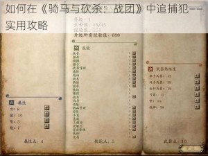 如何在《骑马与砍杀：战团》中追捕犯——实用攻略