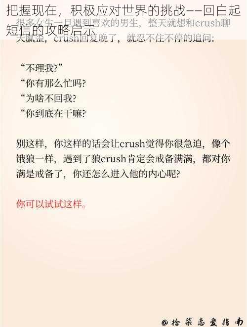 把握现在，积极应对世界的挑战——回白起短信的攻略启示