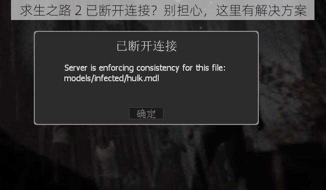 求生之路 2 已断开连接？别担心，这里有解决方案