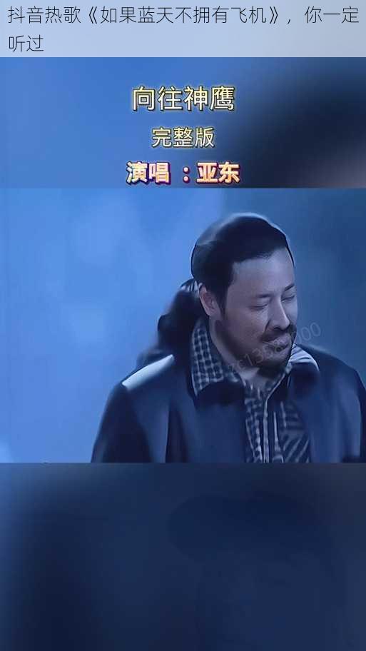 抖音热歌《如果蓝天不拥有飞机》，你一定听过