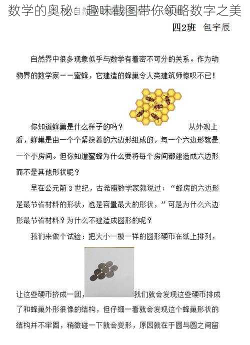 数学的奥秘：趣味截图带你领略数字之美