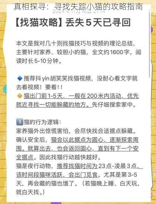 真相探寻：寻找失踪小猫的攻略指南