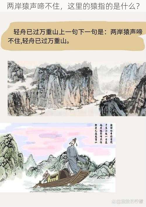 两岸猿声啼不住，这里的猿指的是什么？